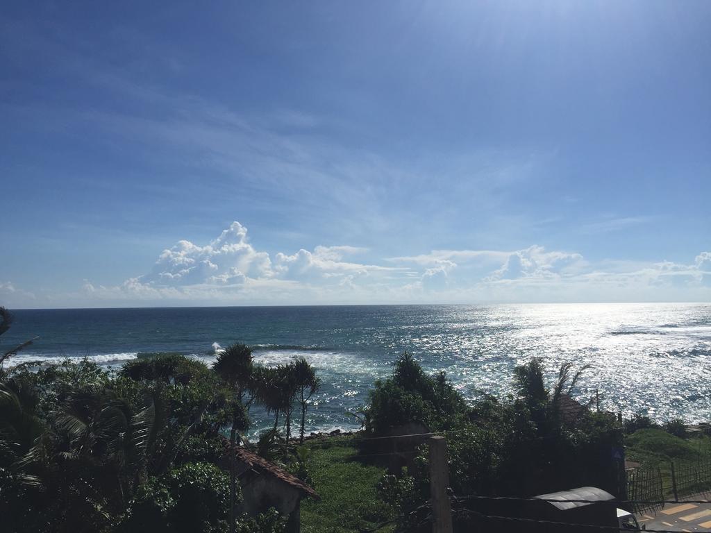 韦利格默 厚脸皮猴子冲浪营旅馆酒店 外观 照片