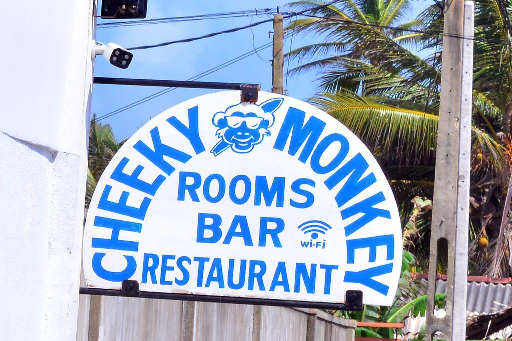 韦利格默 厚脸皮猴子冲浪营旅馆酒店 外观 照片