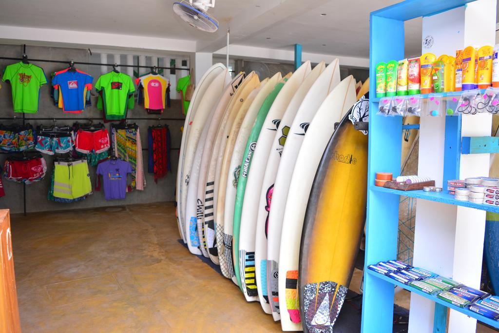 韦利格默 厚脸皮猴子冲浪营旅馆酒店 外观 照片
